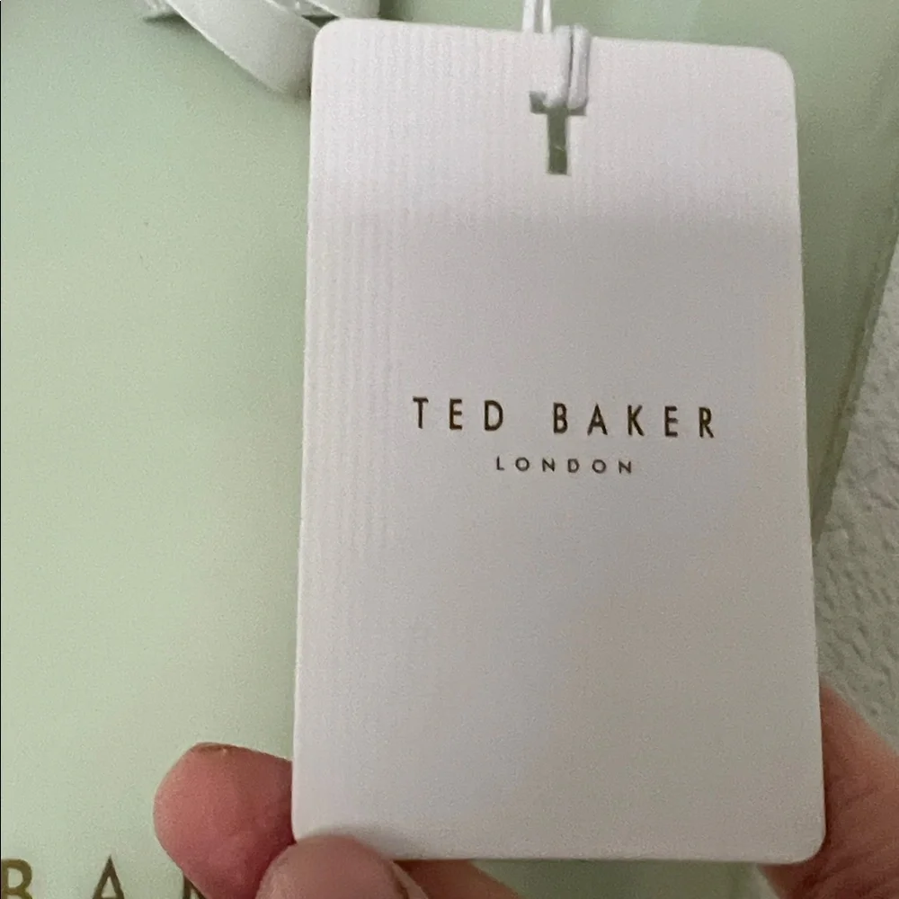 Ted Baker Light Green Mini Bag with Bow NWT - Picture 3 of 7